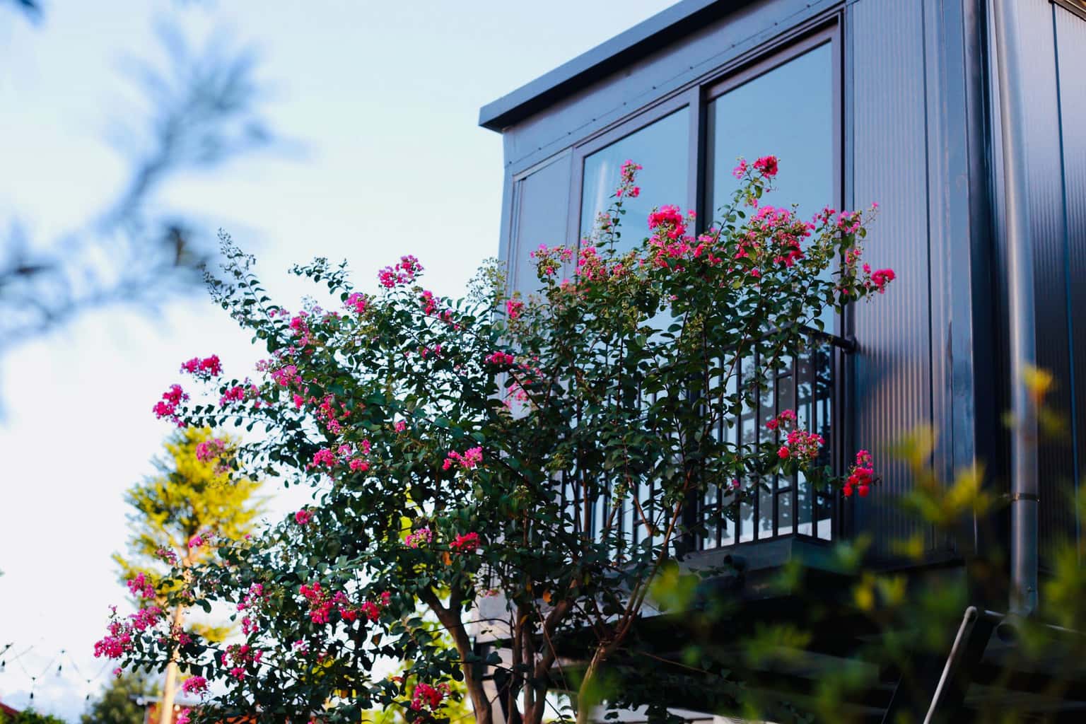 Amavie House 3, Ba Vì () — photo 2