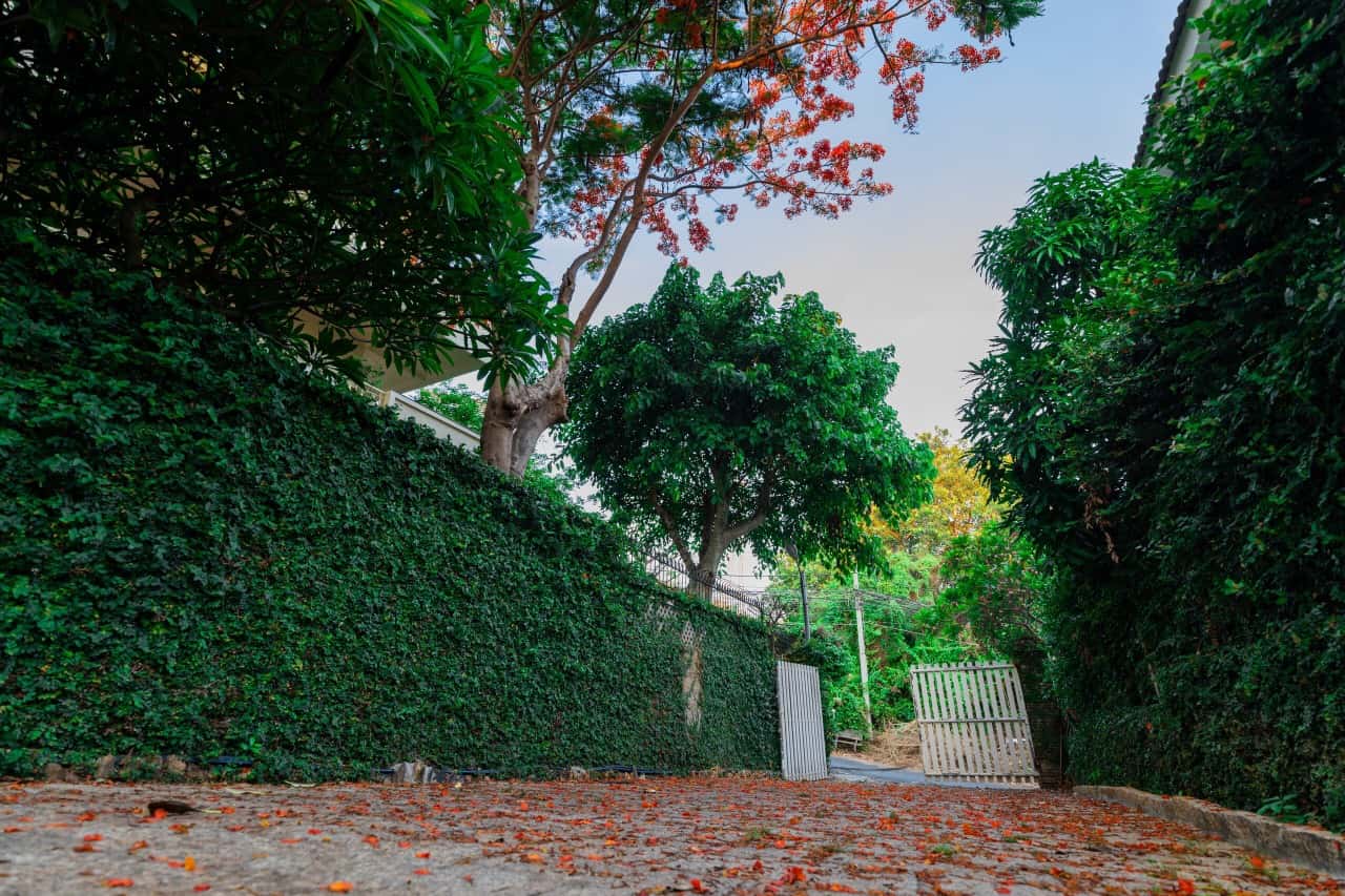 ĐS01 (CD) - Đường Đồi Sứ, Vũng Tàu — photo 20