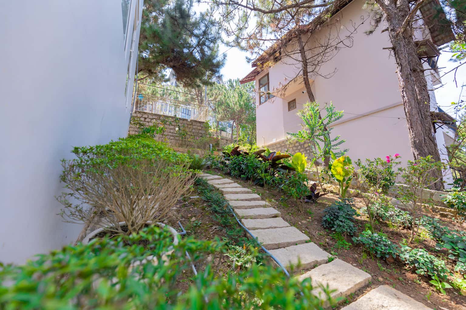 palm villa 3 da lat