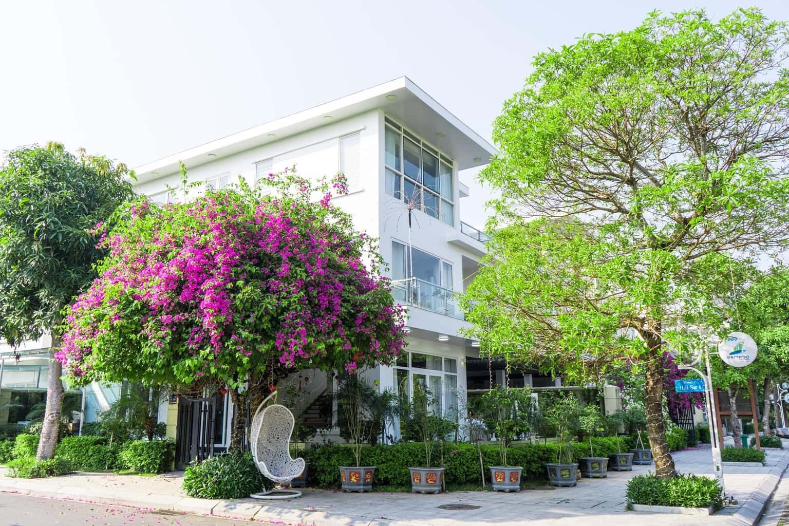 NT14, FLC Sầm Sơn — ảnh 1