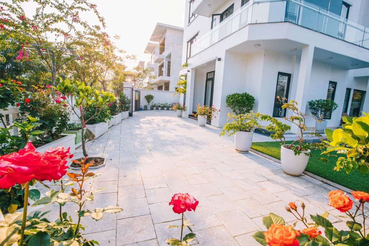 ĐB01, FLC Sầm Sơn — ảnh 6