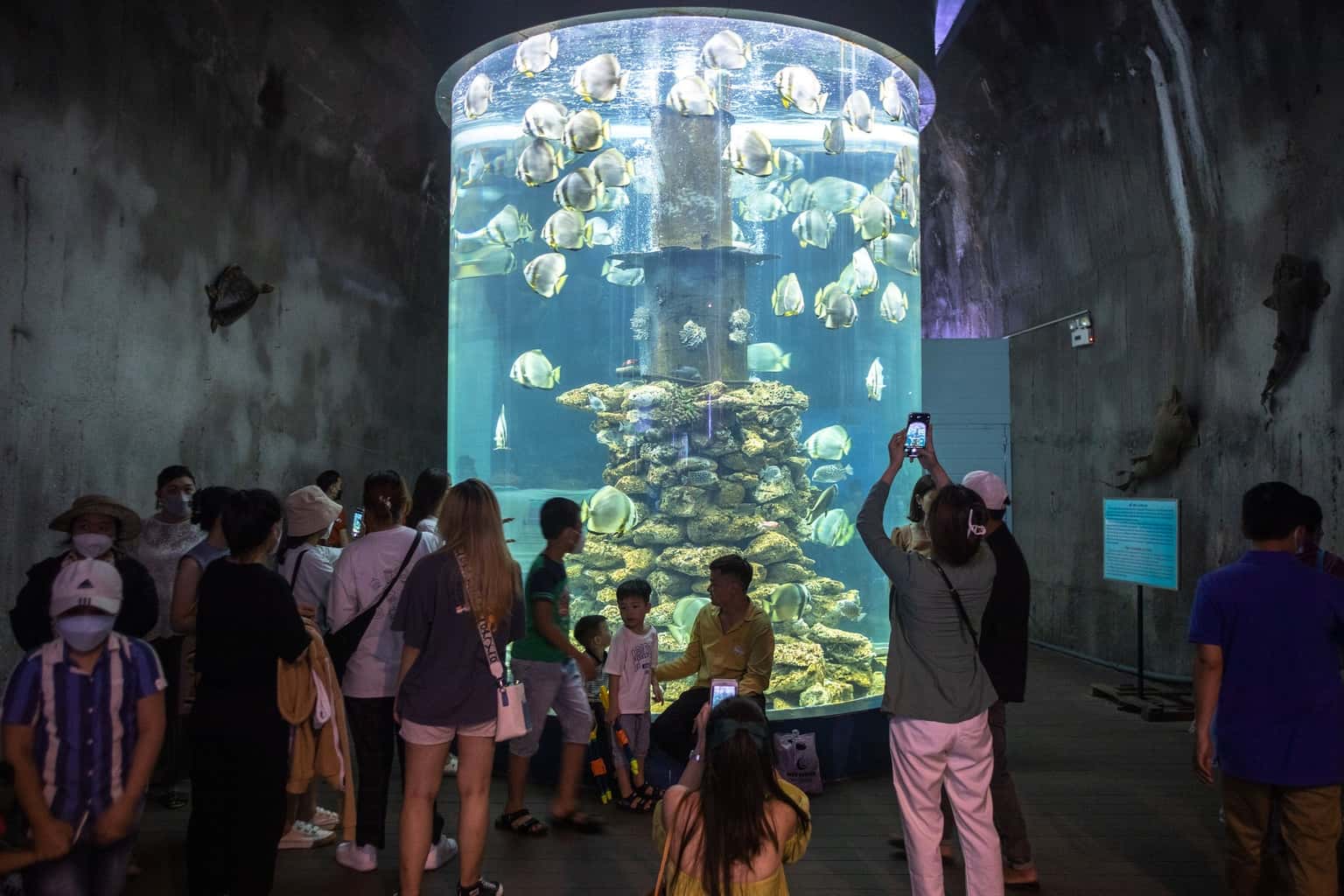 justfly museum of oceanography nha trang