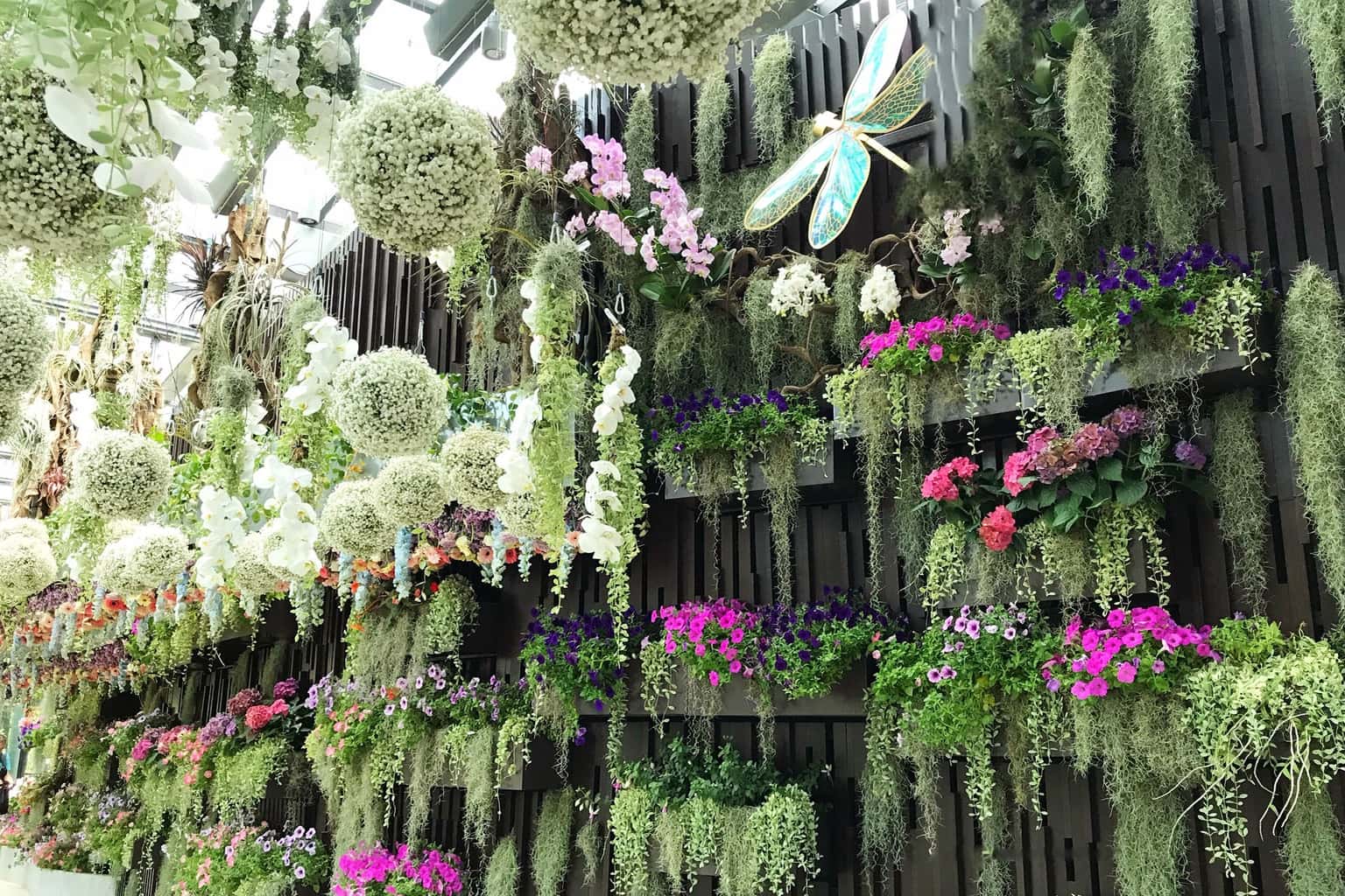 justfly floral fantasy gardens by the bay singapore