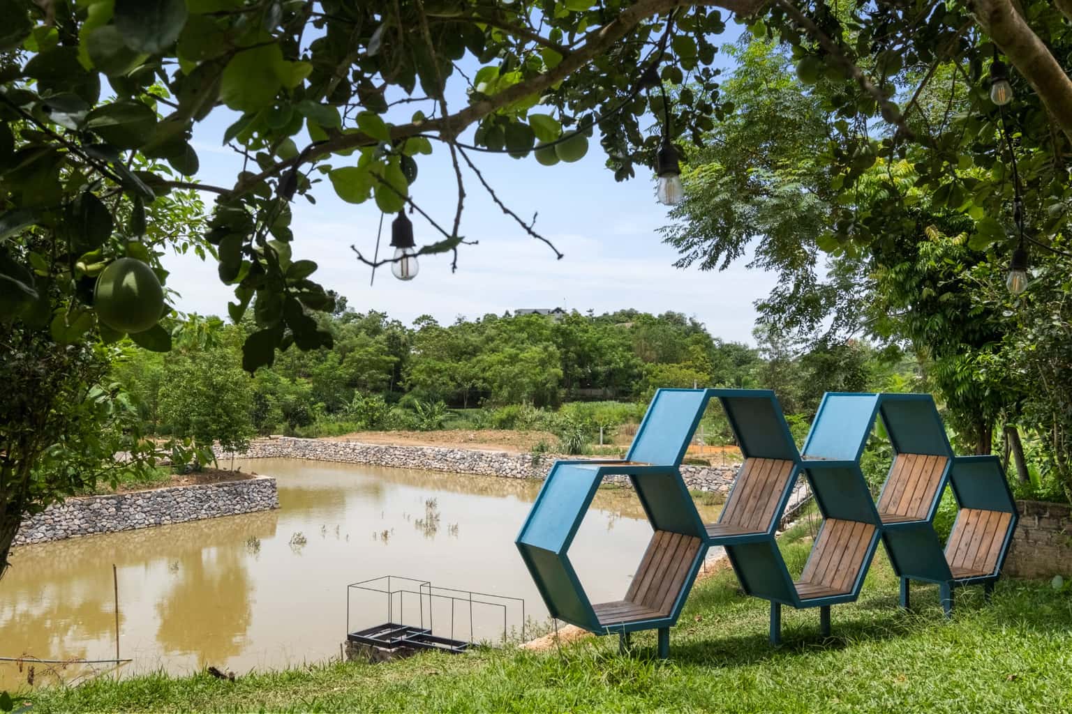 Blue 20 - Chill Garden, Ba Vì — ảnh 14