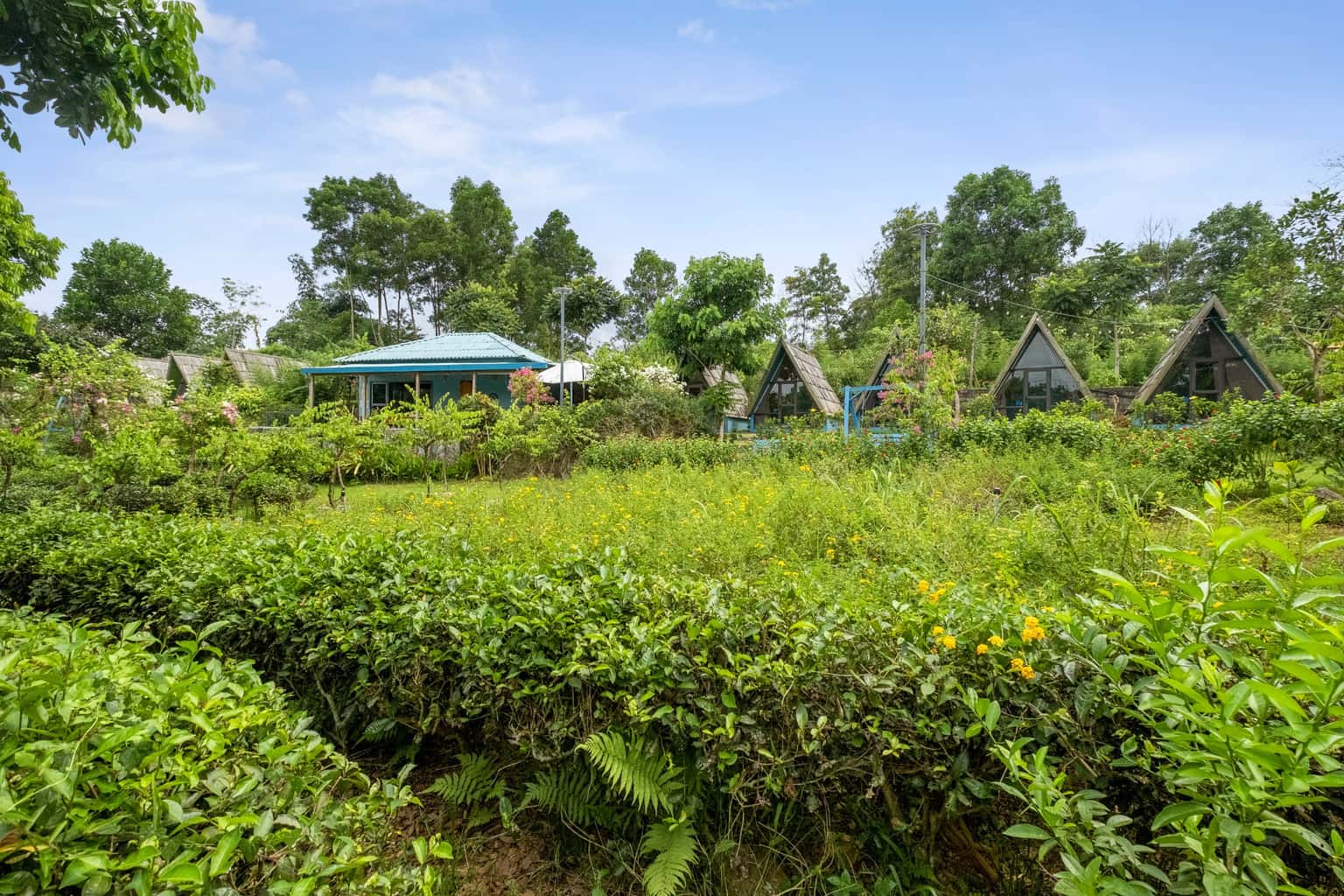 Blue 20 - Chill Garden, Ba Vì — ảnh 9