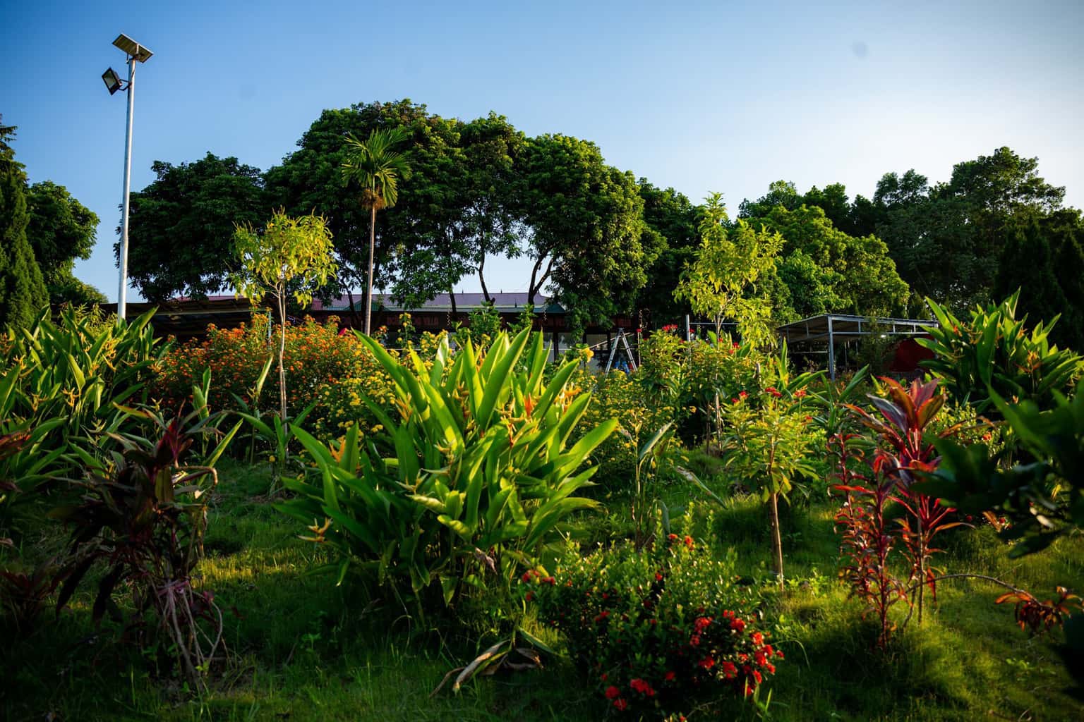 Ngàn Hoa Villa, Hoà Bình — photo 1