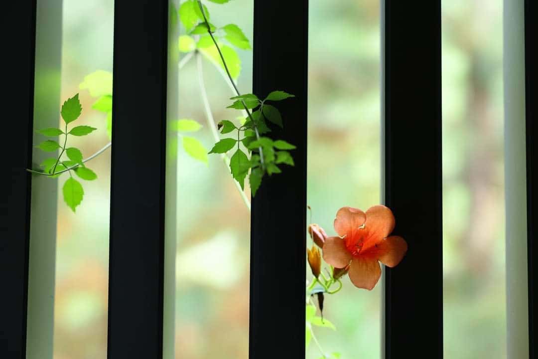 Villa GV27, Flamingo Đại Lải — ảnh 10