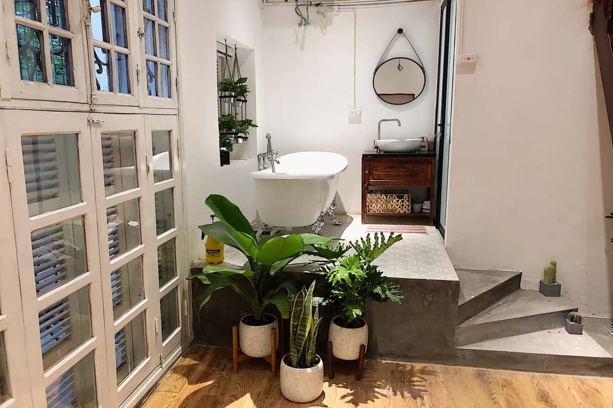 Pura Vida, Hoàn Kiếm — photo 5