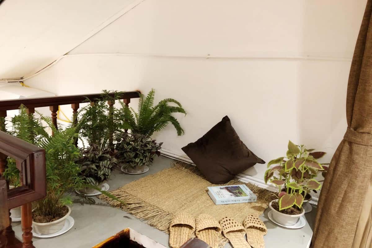 Pura Vida, Hoàn Kiếm — photo 21