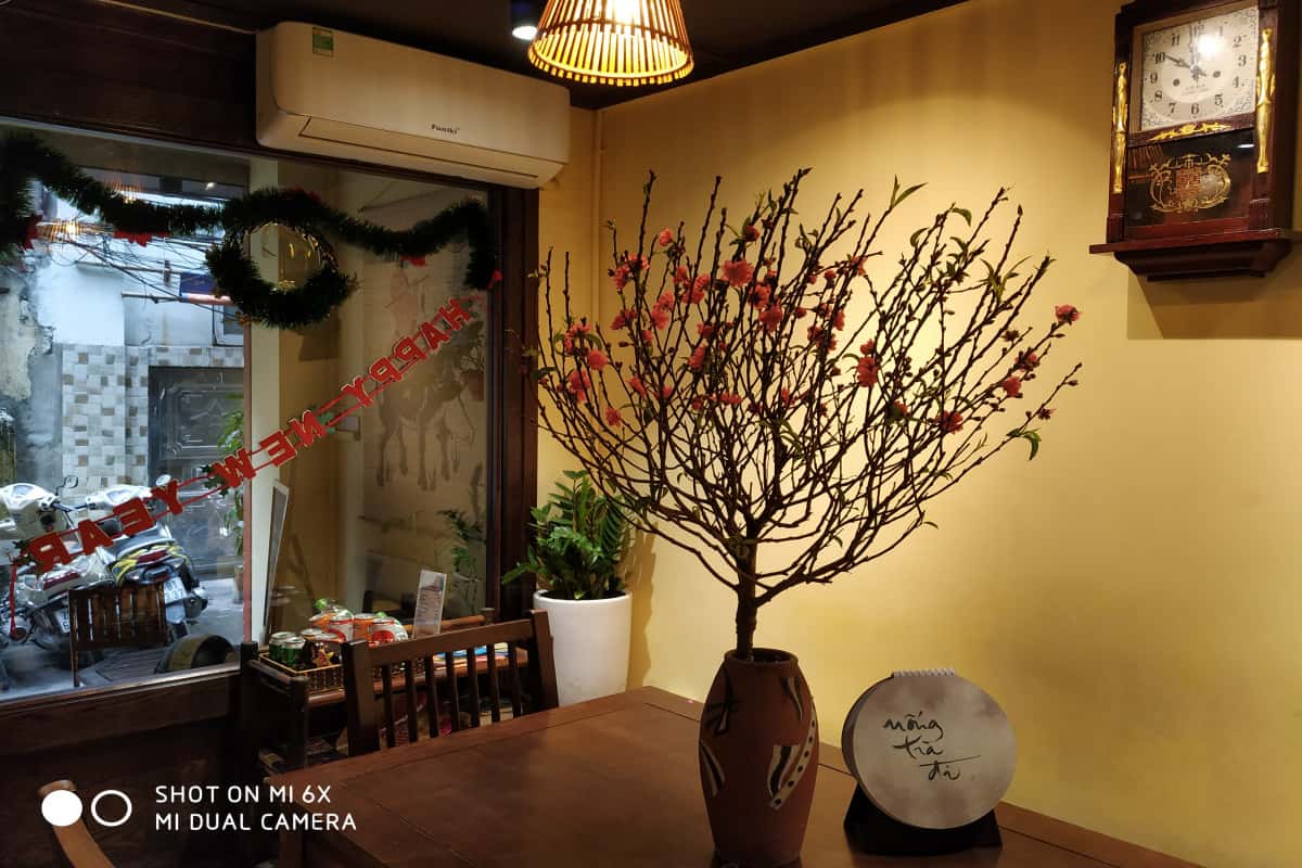 Blooming, Hoàn Kiếm — ảnh 4