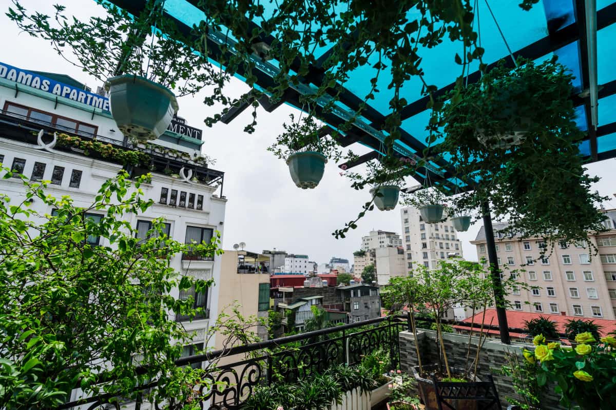 Emerald Babylon - 3 Triệu Việt Vương, Hai Bà Trưng — photo 26
