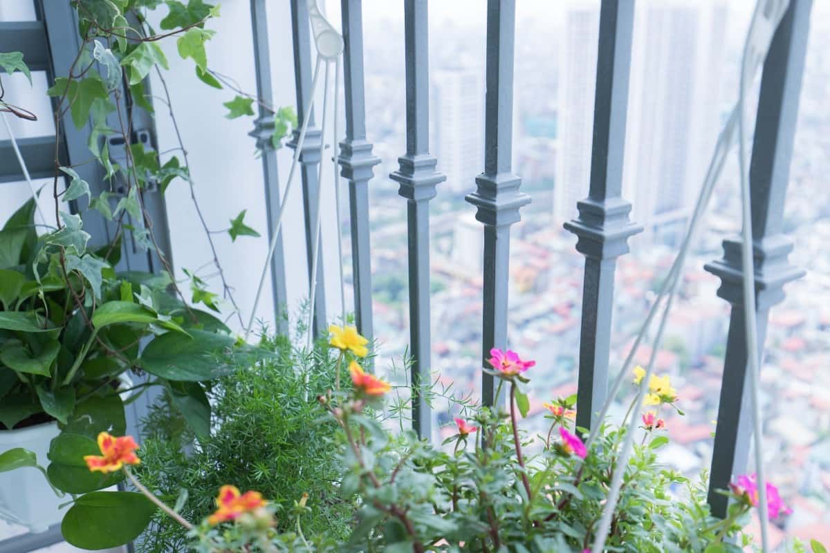 Tropicana Apt No.4, Hai Bà Trưng — ảnh 20
