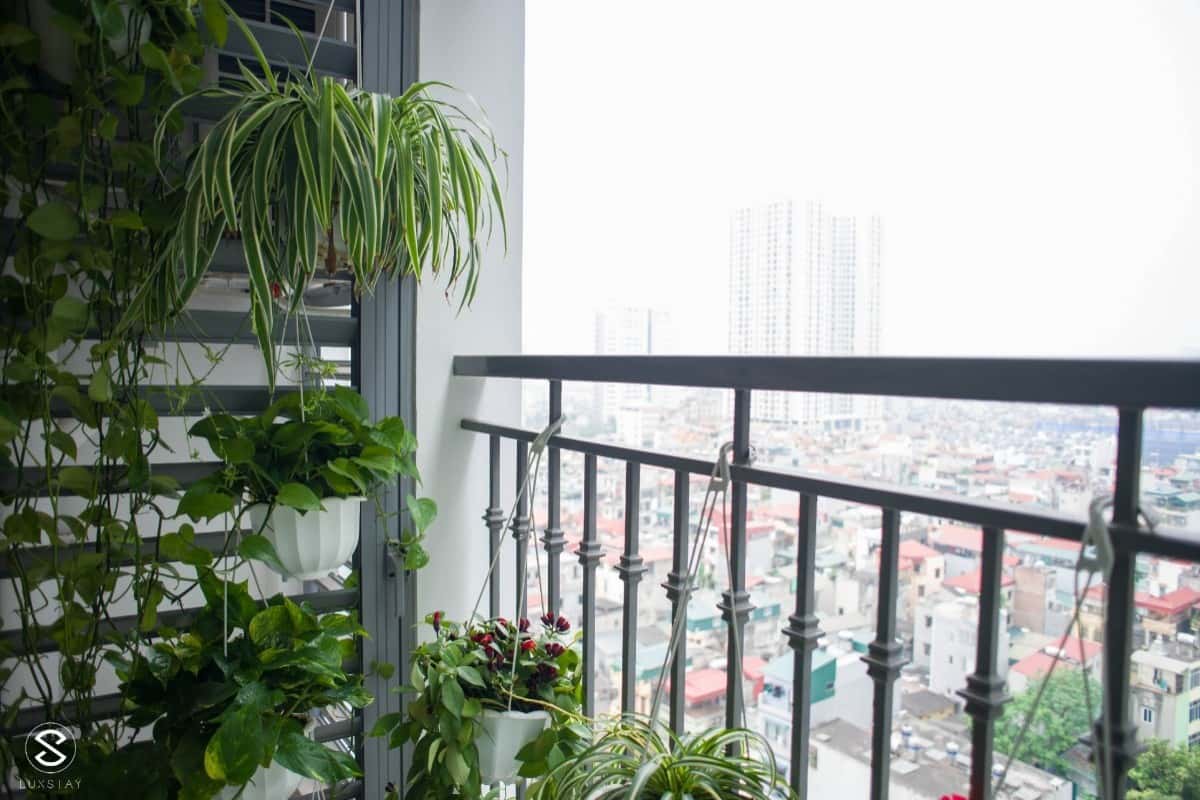 Justfly Tropicana No2 Hoàng Mai () — photo 23