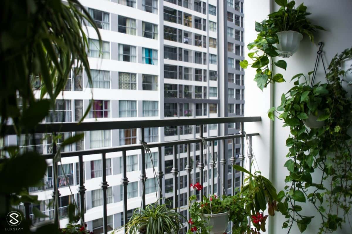 Justfly Tropicana No2 Hoàng Mai () — photo 26