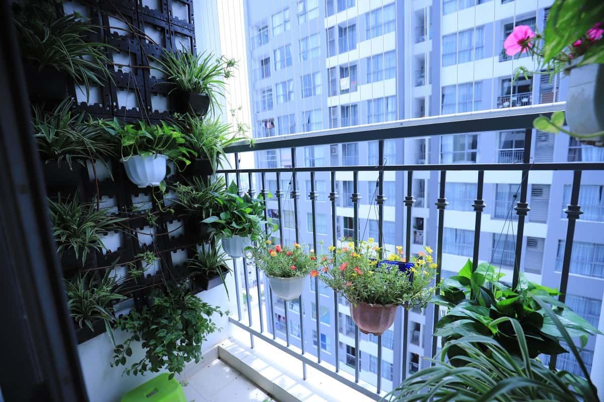 Tropicana Apt No.1, Hai Bà Trưng — photo 16