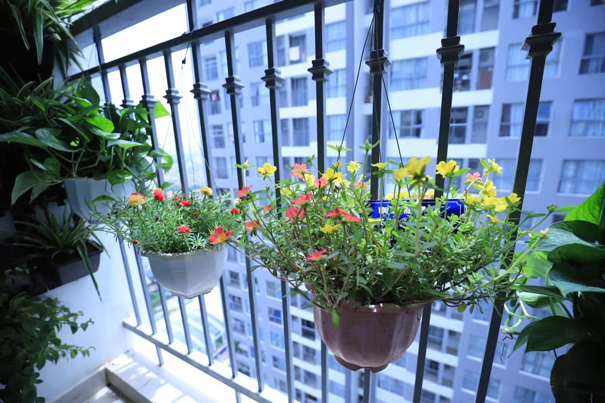 Tropicana Apt No.1, Hai Bà Trưng — photo 18