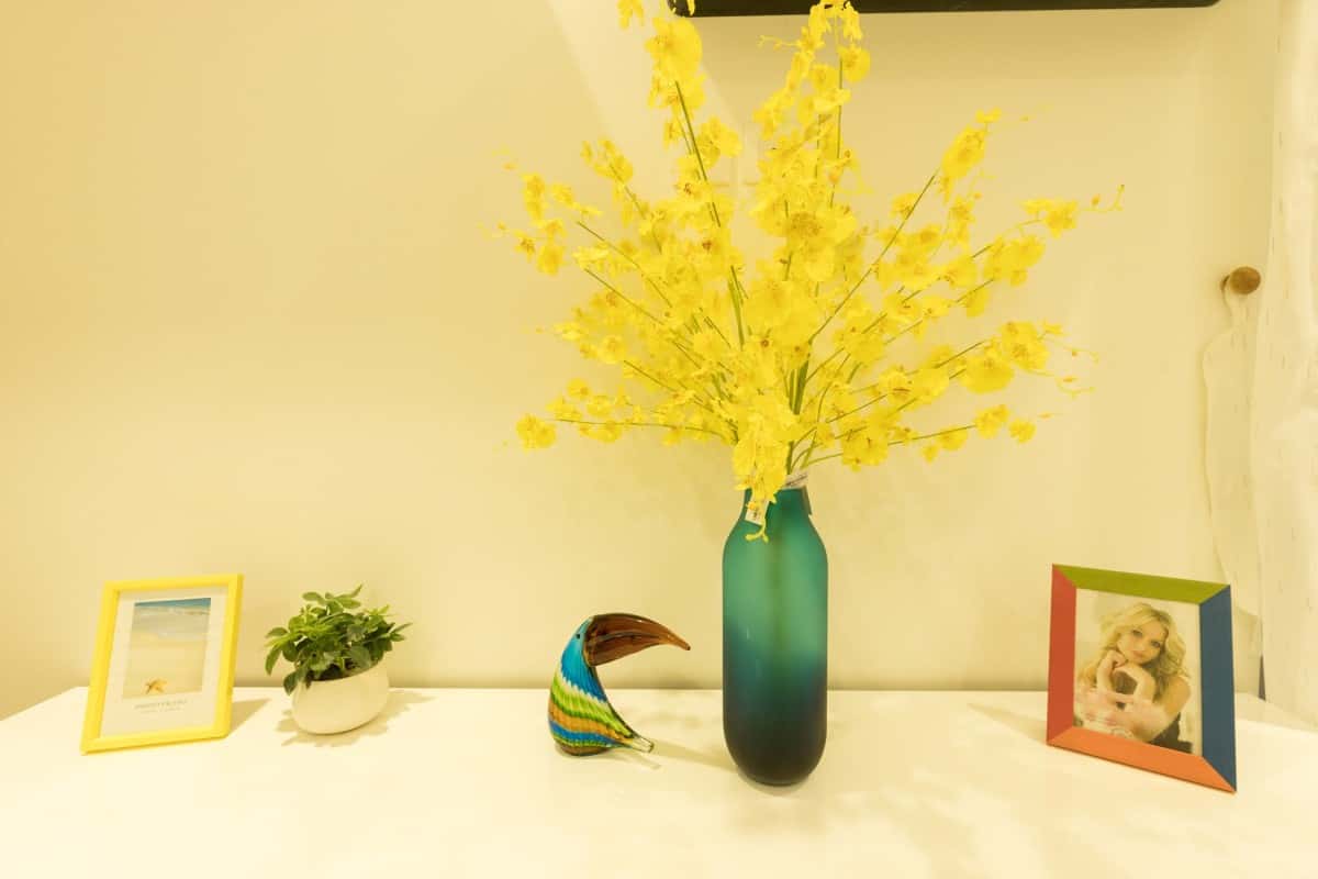 Tropicana Apt No.10, Hai Bà Trưng — ảnh 17