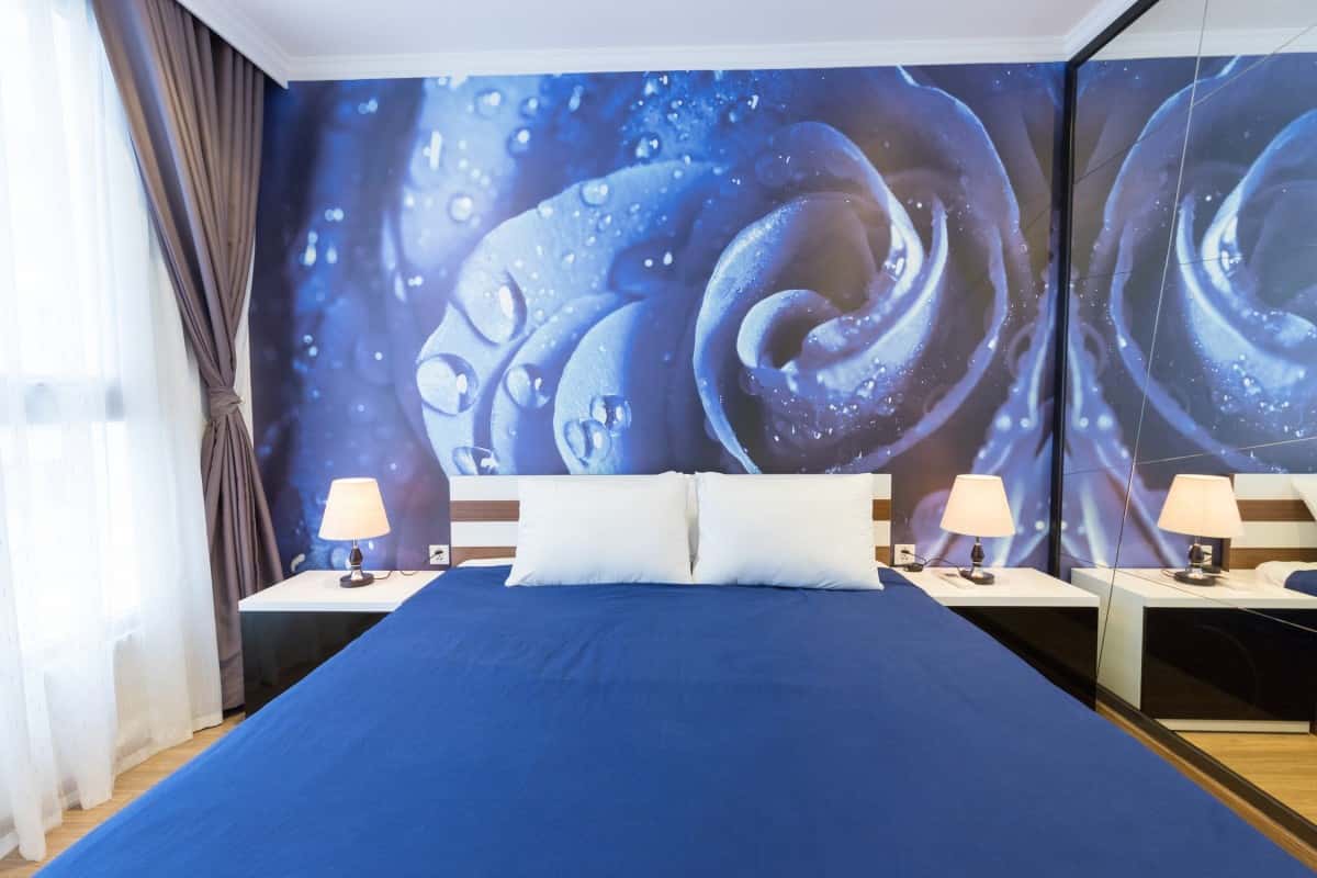 Tropicana Apt No.10, Hai Bà Trưng — ảnh 1