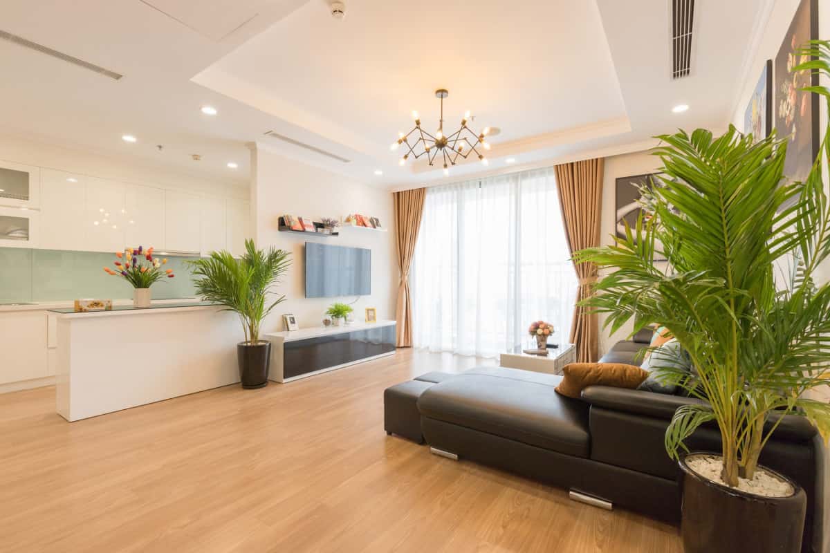 Tropicana Apt No.5, Hai Bà Trưng — photo 6
