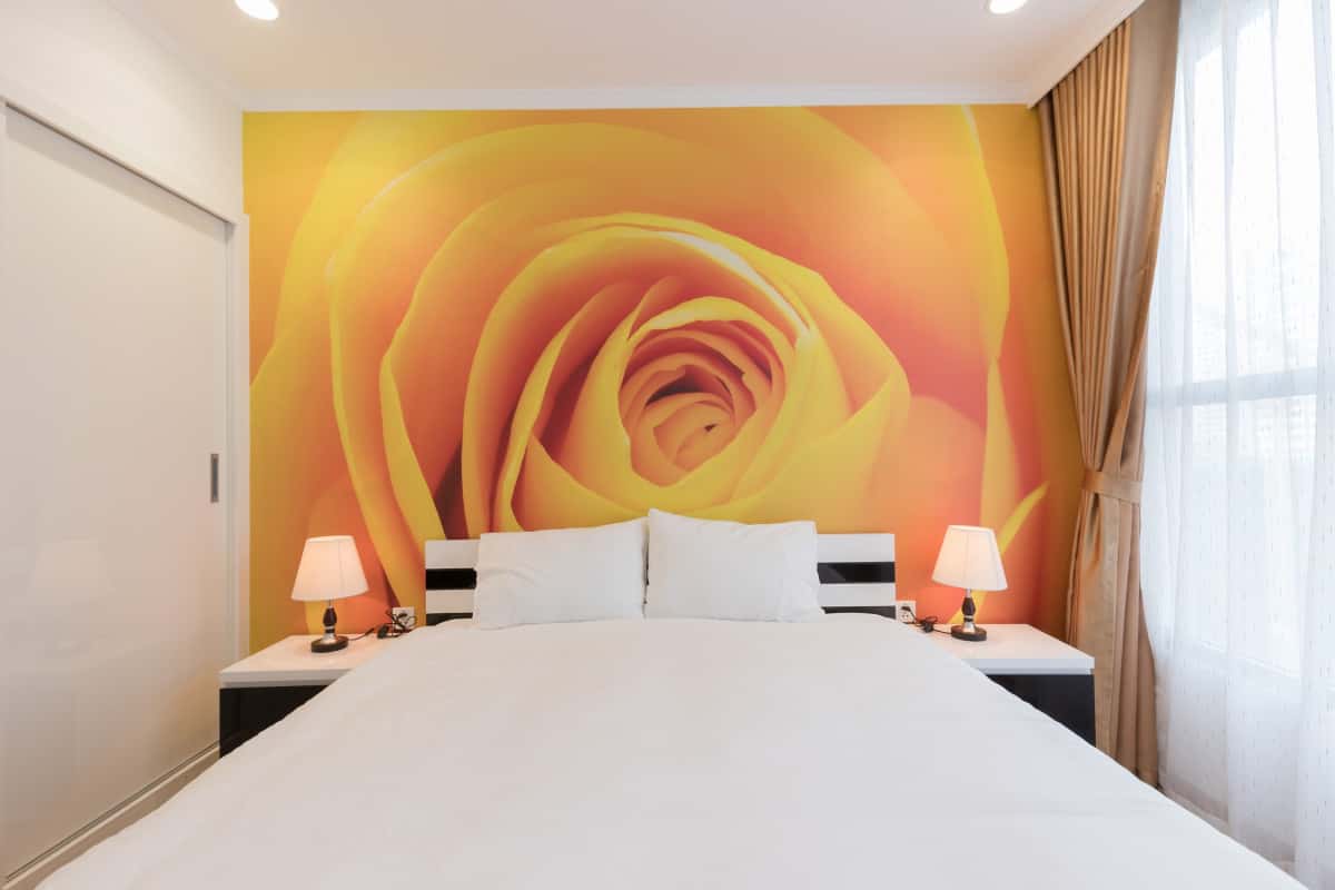 Tropicana Apt No.5, Hai Bà Trưng — photo 13