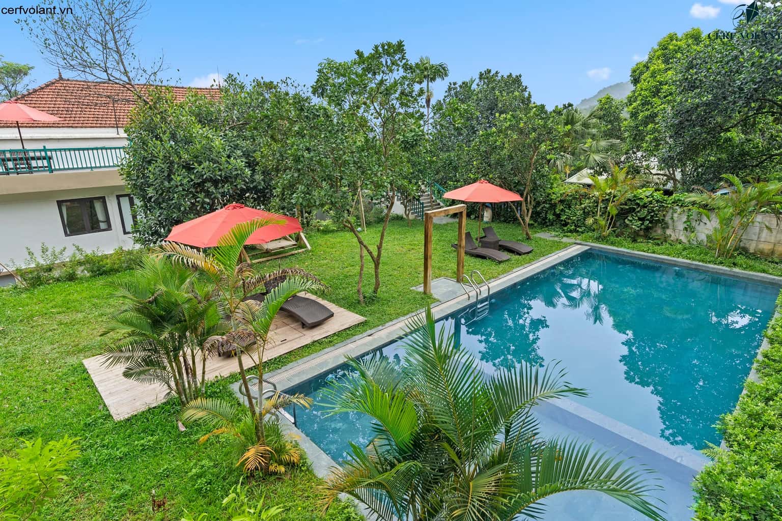 justfly cerf volant red house soc son