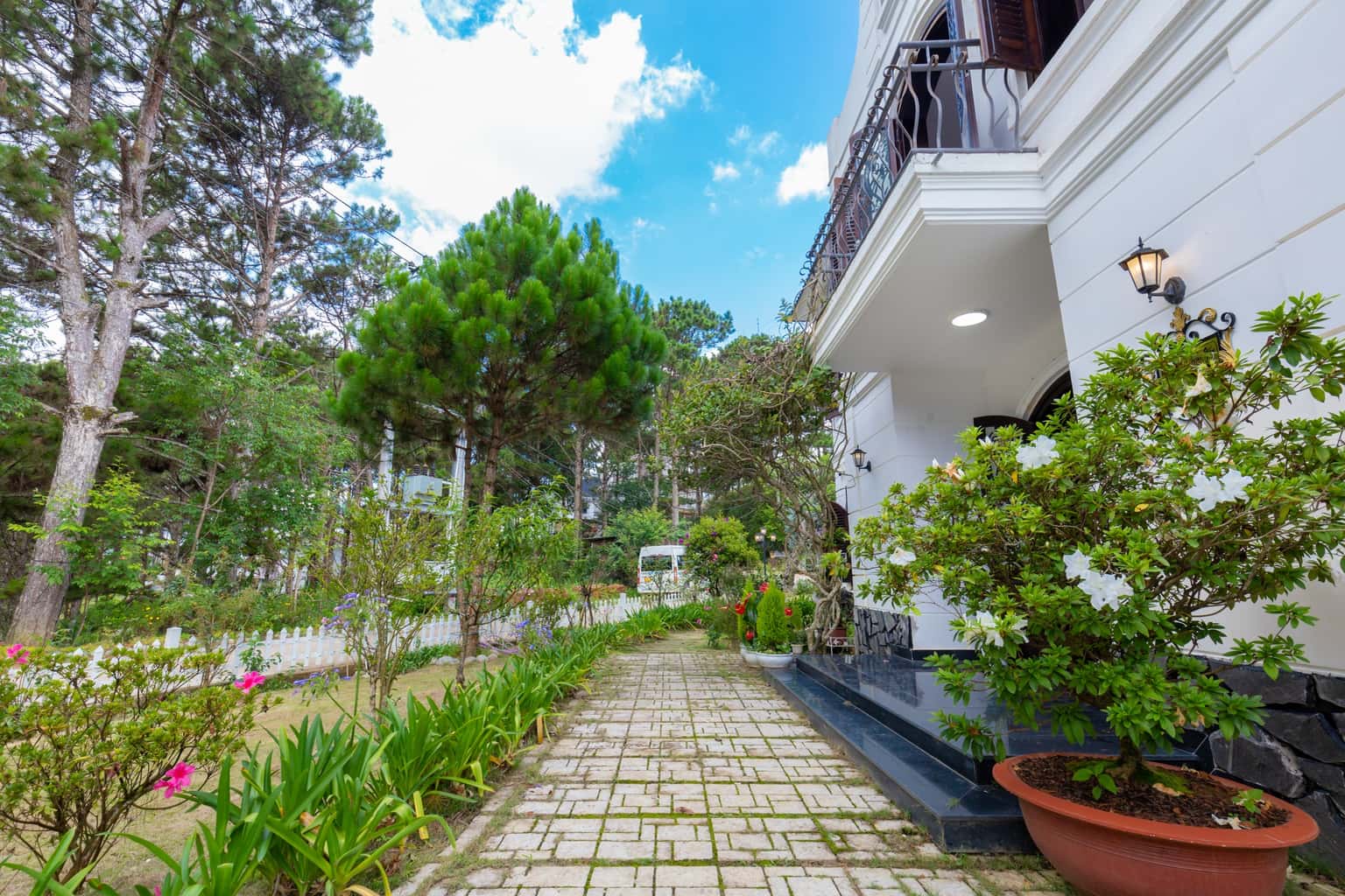 justfly palm 9 da lat