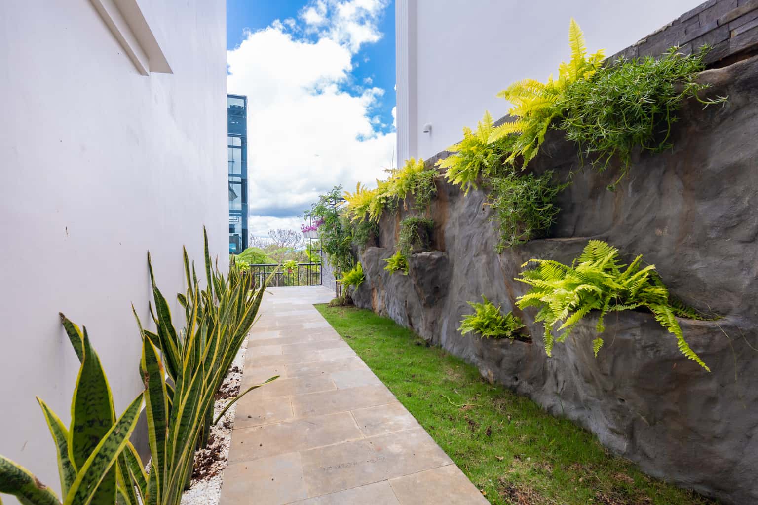  justfly palm 10 da lat