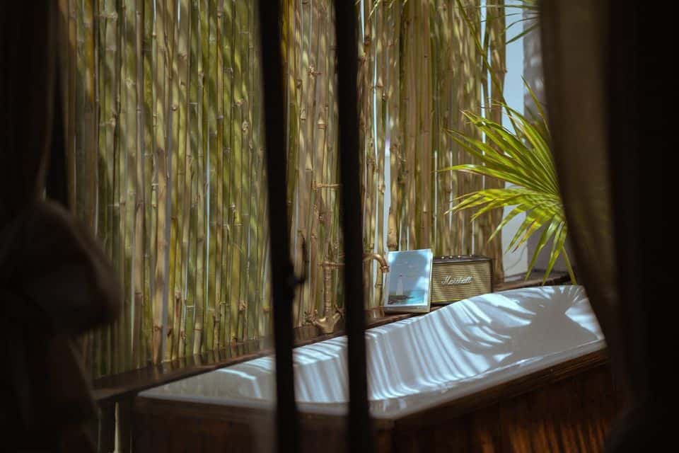 moriese house indica room da lat