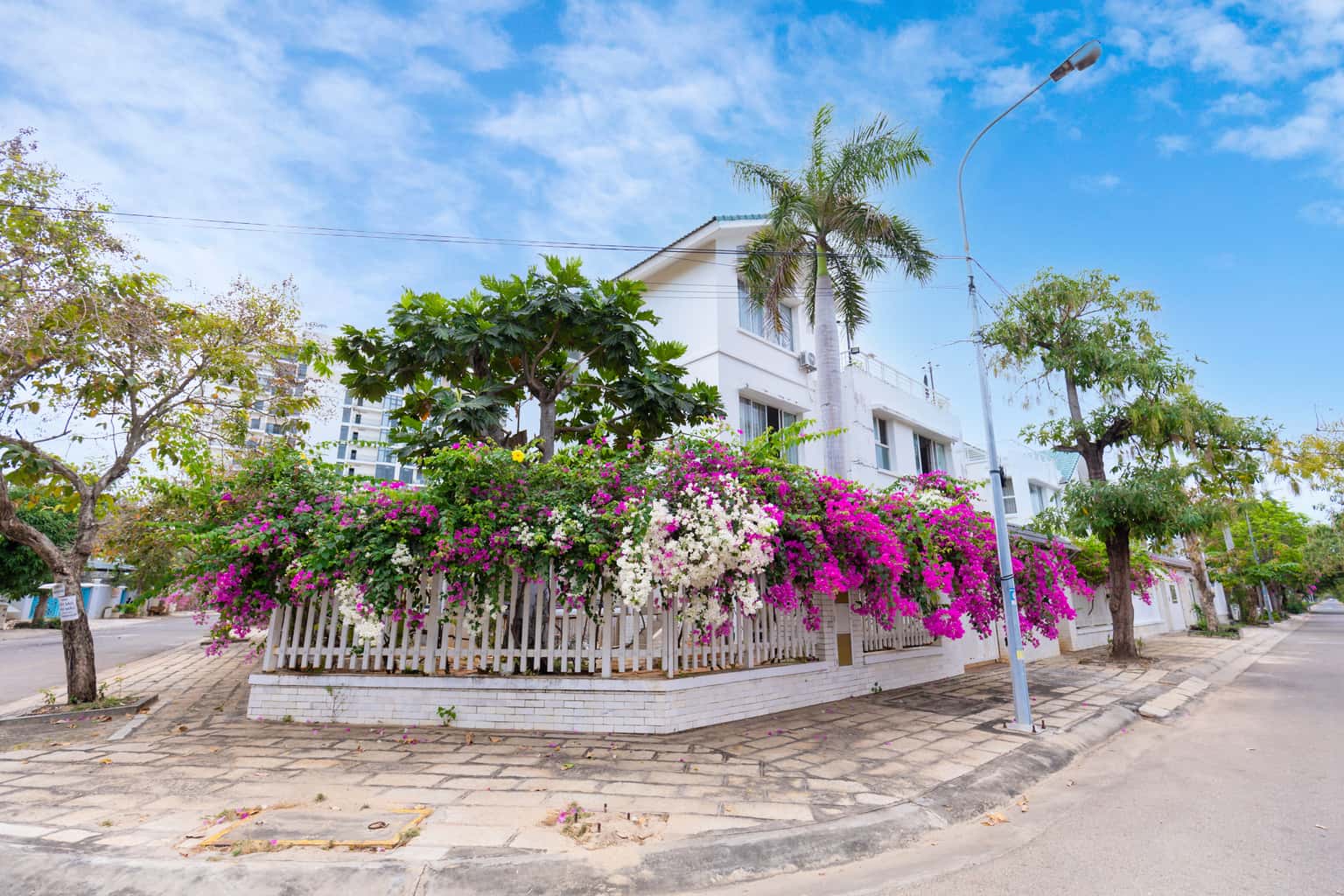 justfly b2 19 thuy duong 4 villa vung tau