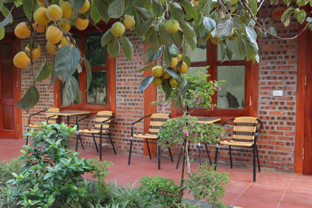 phong deluxe double or twin tam coc thanh dat homestay
