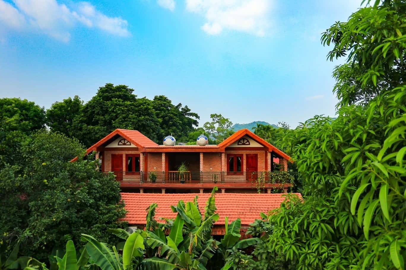 justfly ninh binh family homestay ninh binh