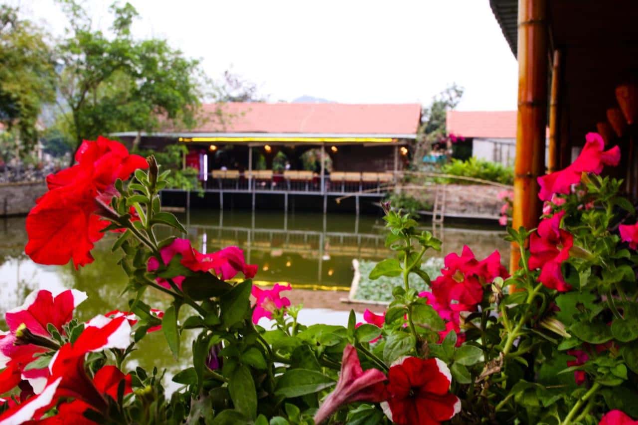 justfly tam coc garden homestay ninh binh