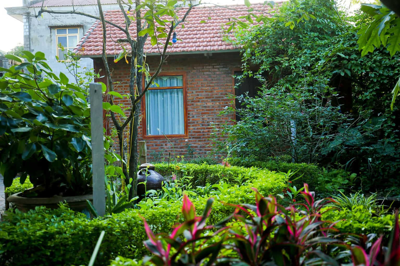 justfly anh huong tam coc homestay