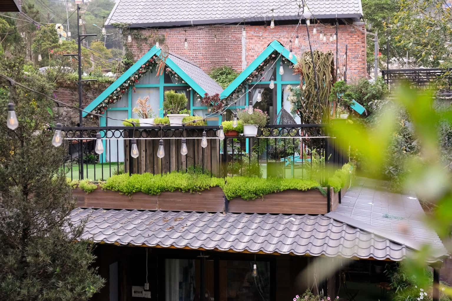 justfly can tam giac rose villa tam dao