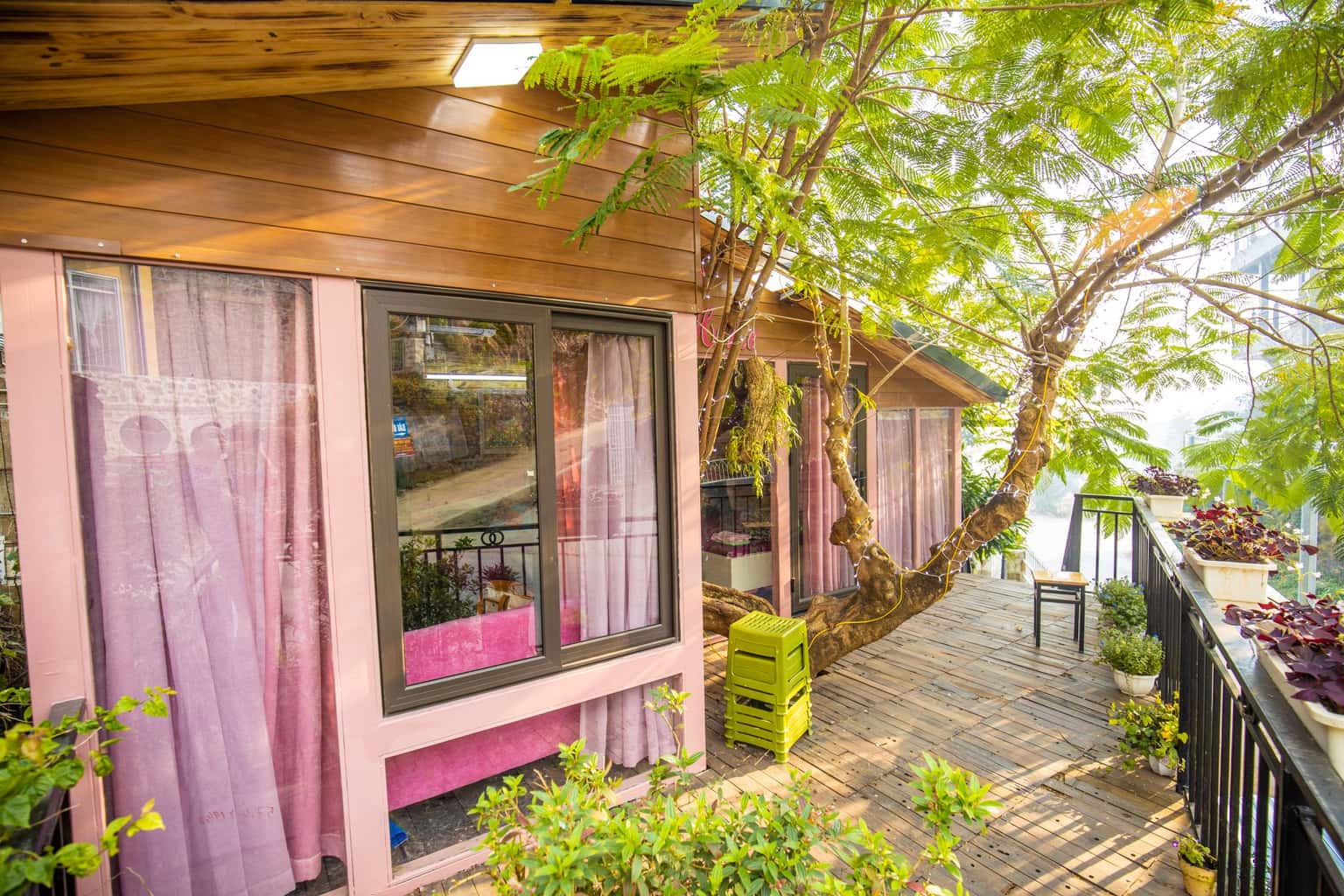 justfly can pink home lon tam dao