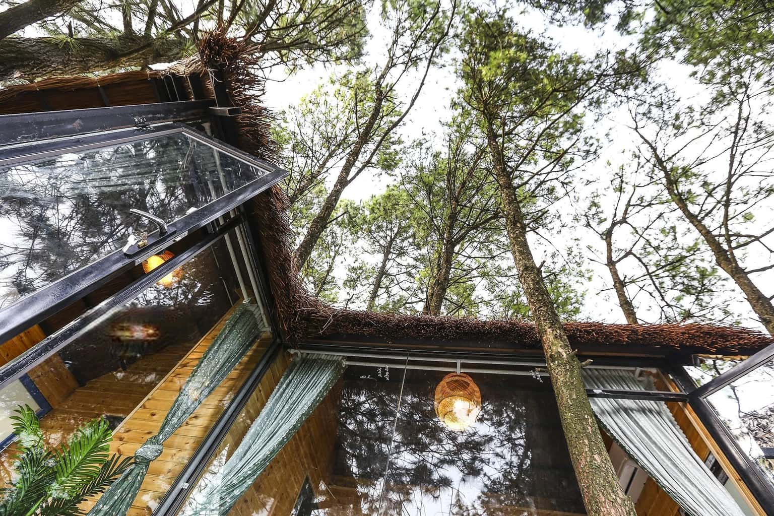 p214 nha 2 gian giuong luoi poko ecolodge tam dao
