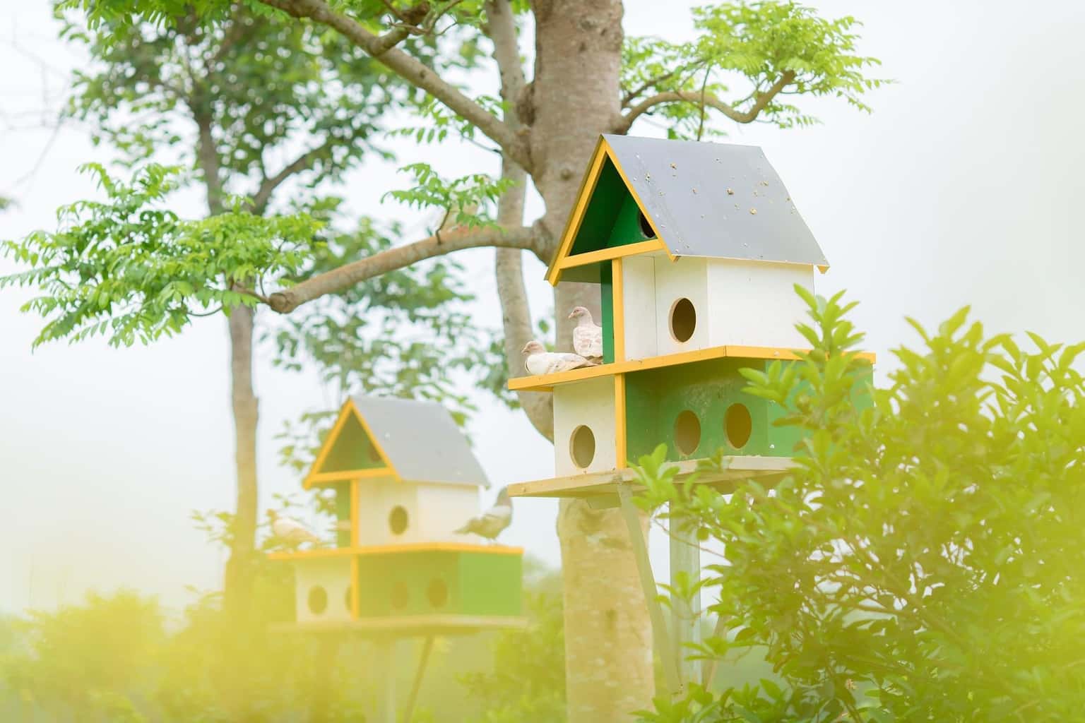 GR Phòng Presidential, Sơn Tây — ảnh 26