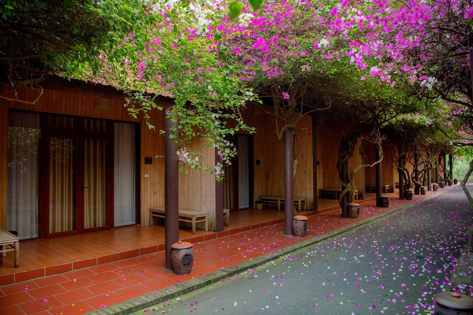 justfly khuon vien thao vien resort