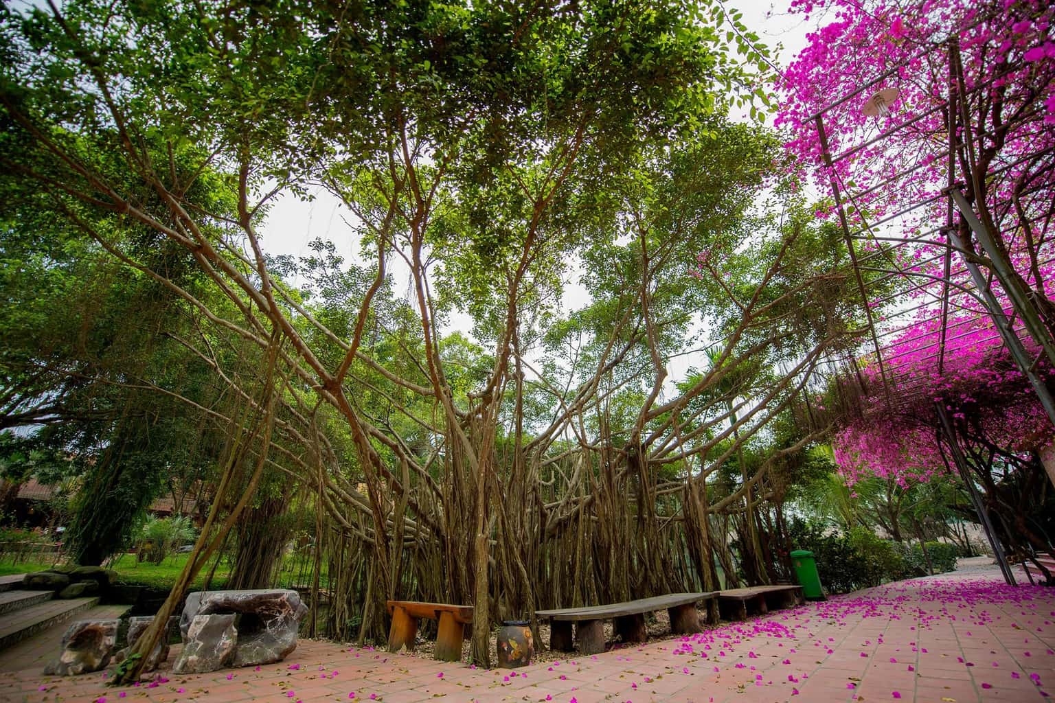 justfly khuon vien thao vien resort