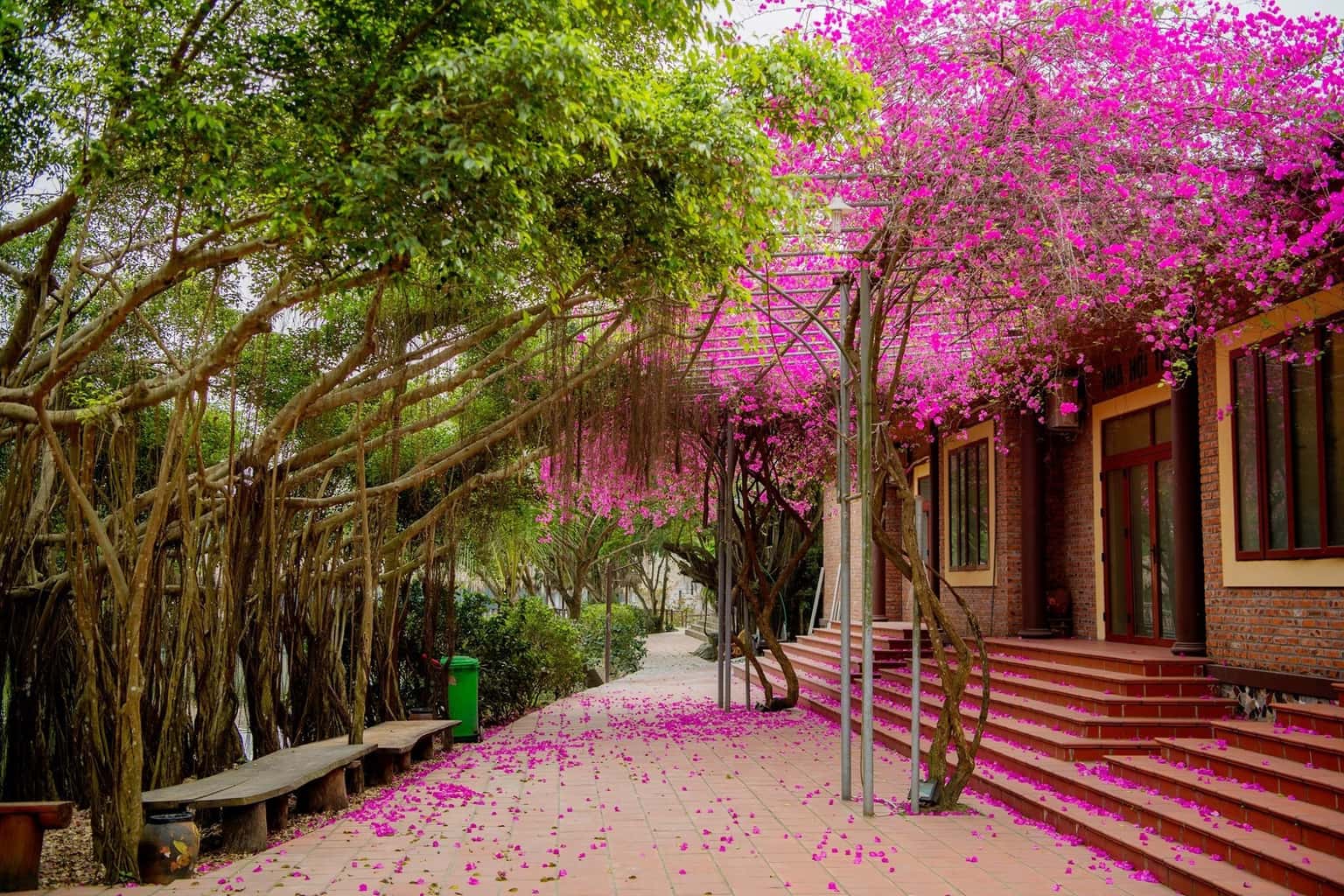 justfly khuon vien thao vien resort