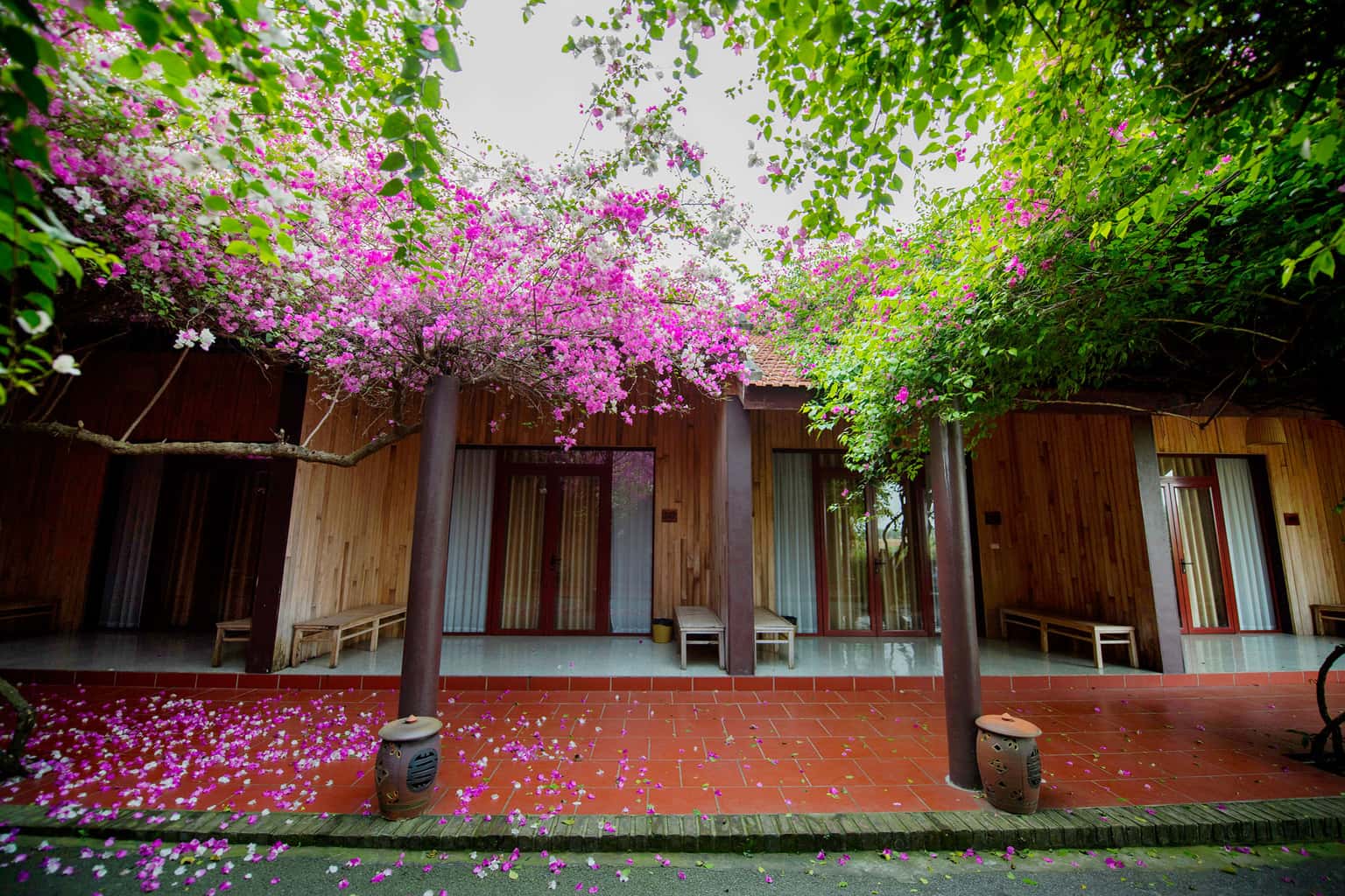 justfly pho nho thao vien resort