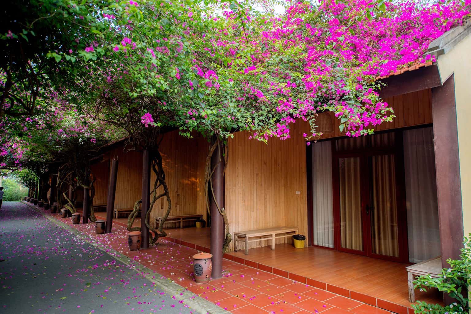 justfly pho nho thao vien resort