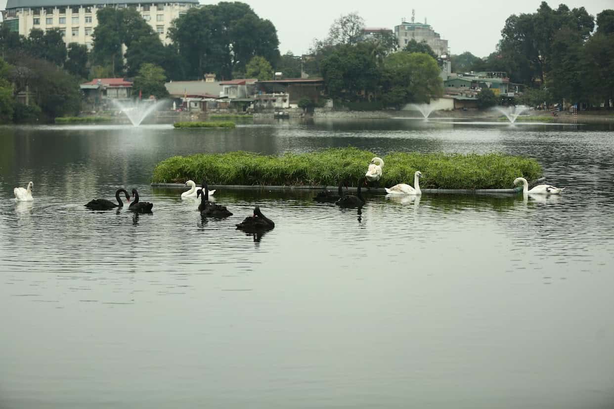 ho thien quang  hai ba trung dia diem du lich ha noi atthan73