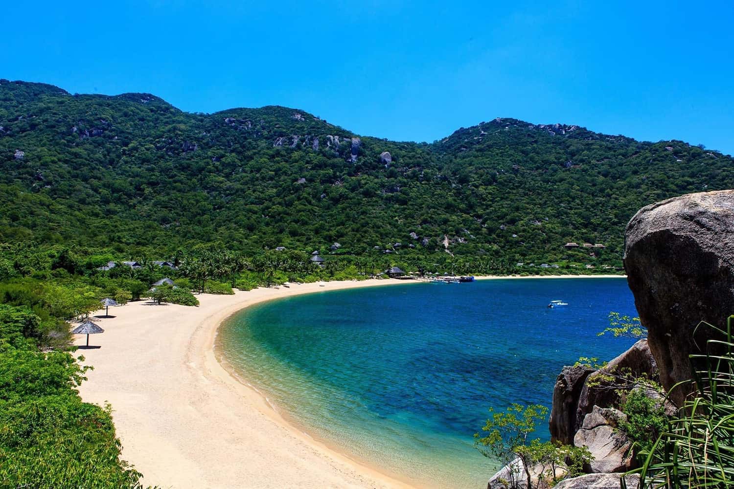 bai dam trau dia diem du lich vung tau attvut23