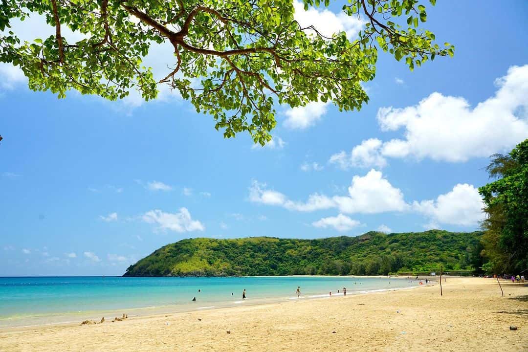 bai dam trau dia diem du lich vung tau attvut23