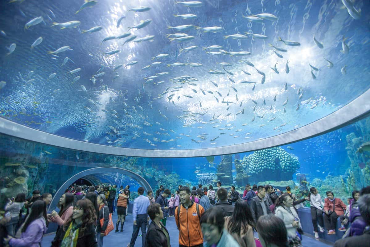 vien hai duong hoc nha trang dia diem du lich nha trang attcxr25