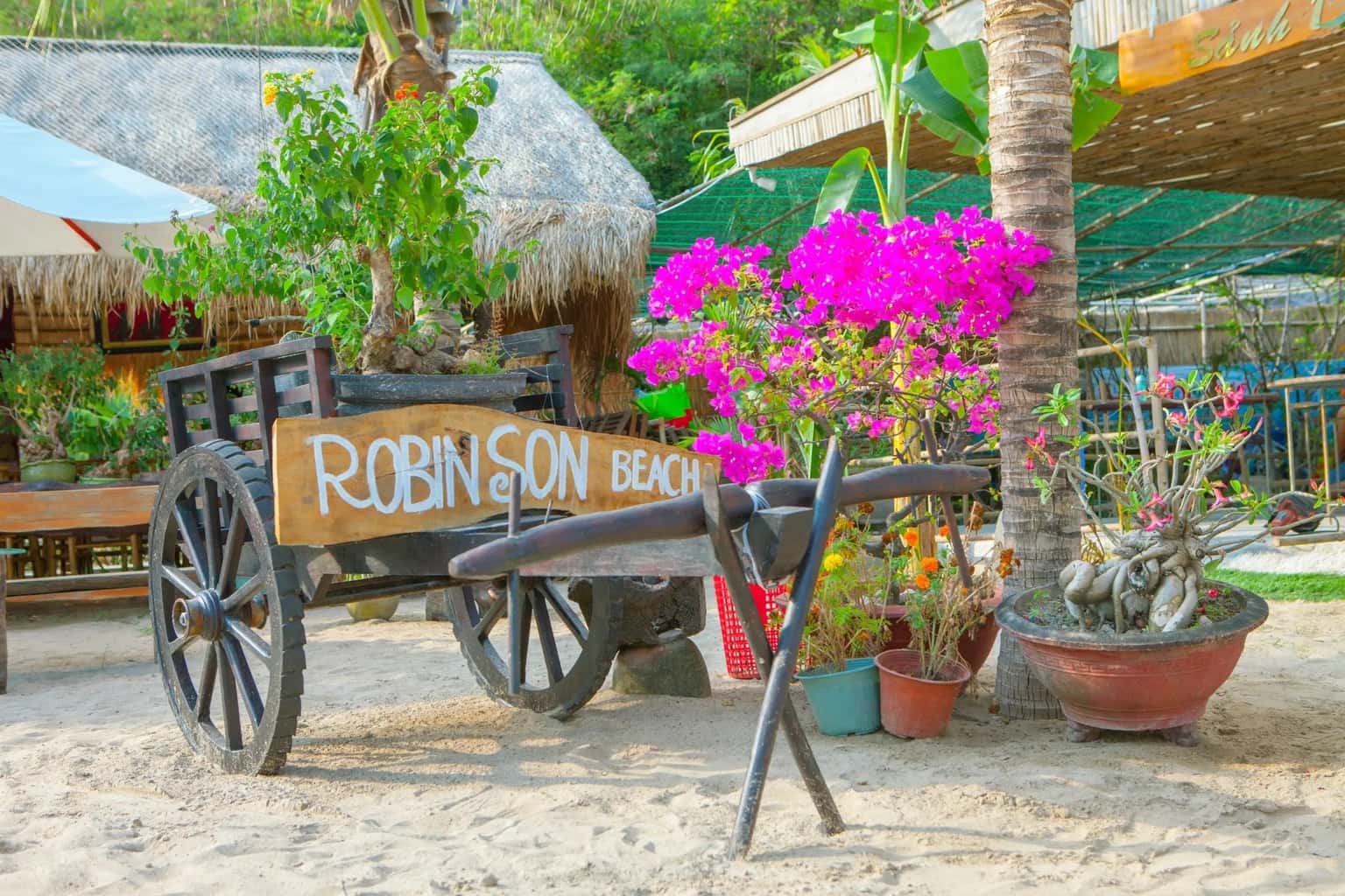 dao robinson dia diem du lich nha trang attcxr27