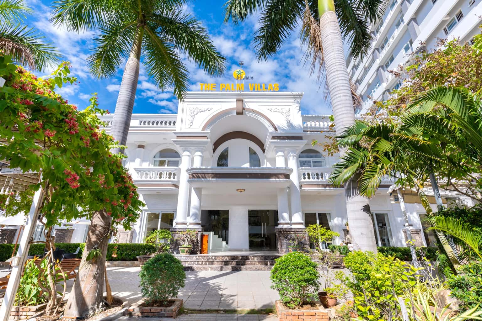 justfly palm 18 vung tau 