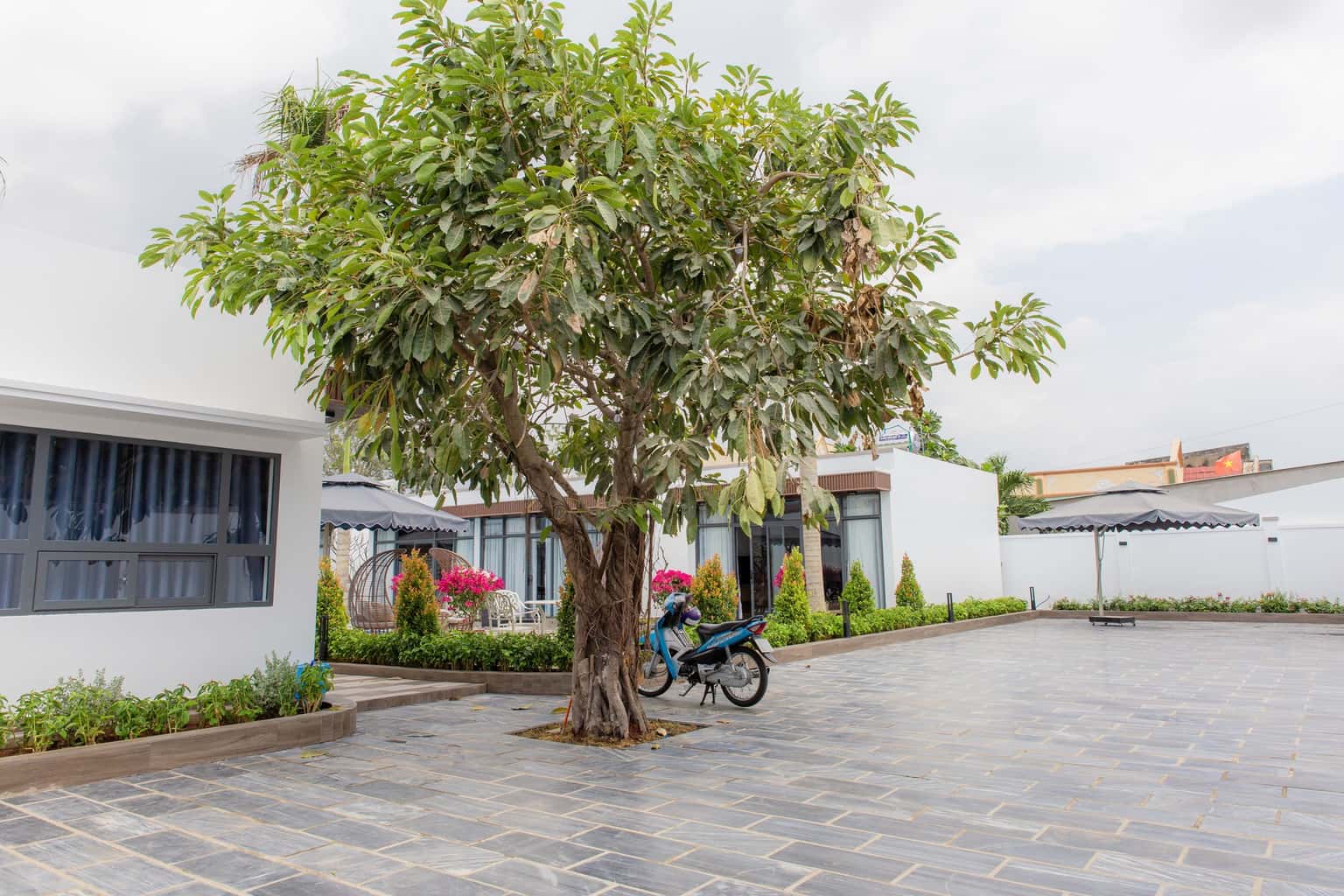 justfly 1579.d304.p12 villa vung tau