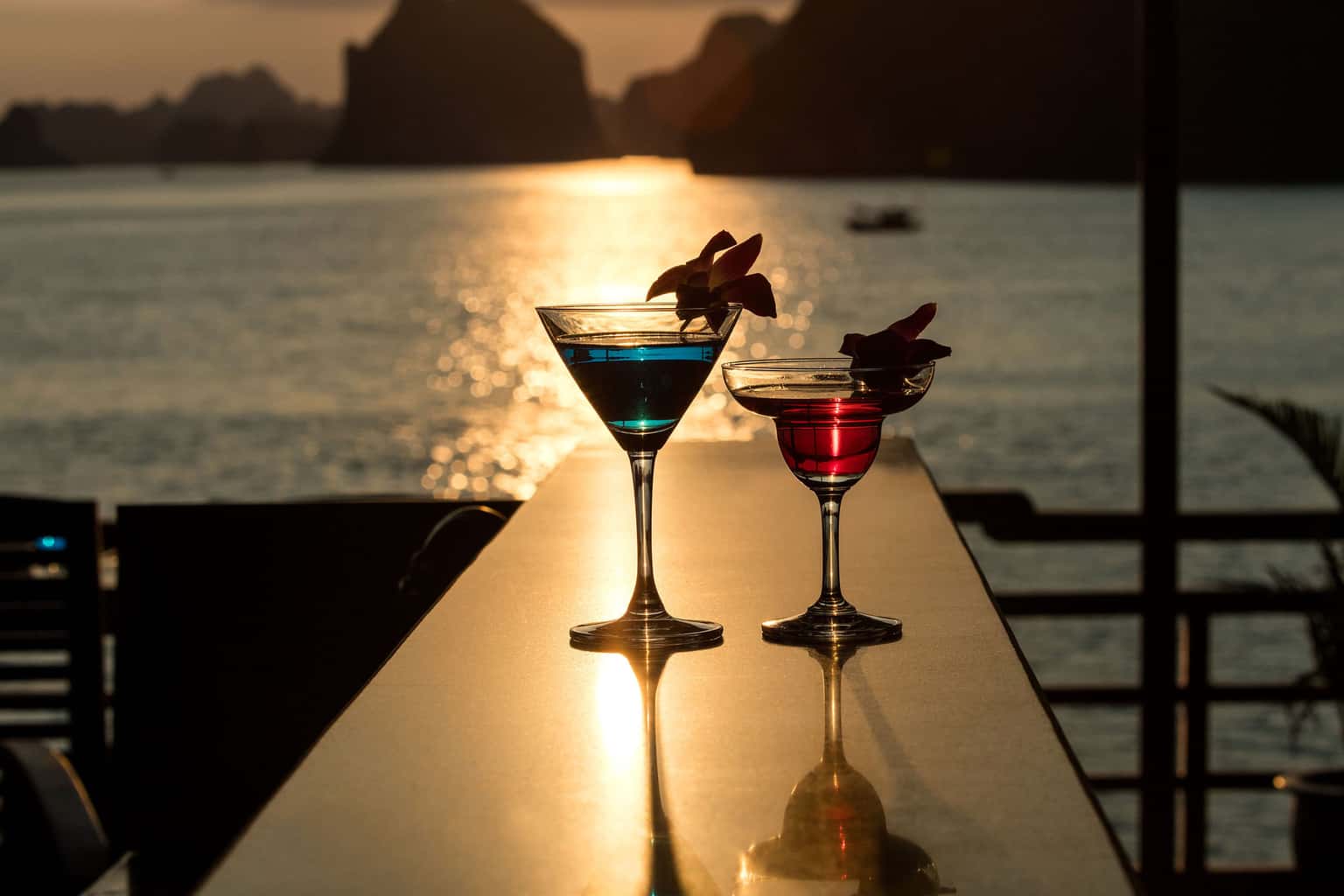 pelican glory pelican cruise ha long